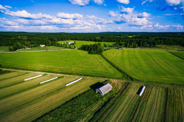 Segregar Fincas · Topógrafos Servicios Topográficos y Geomáticos Campins